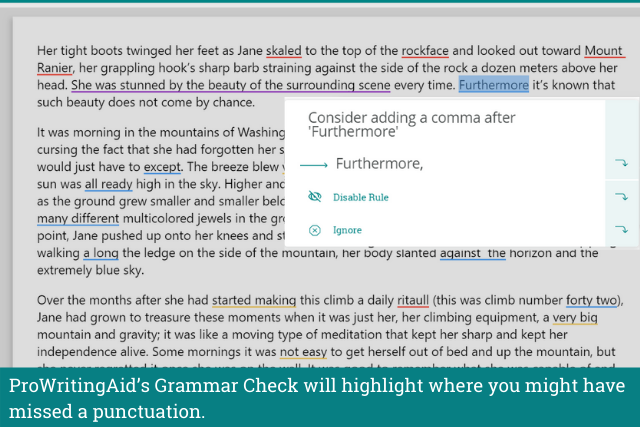 Screenshot  of ProWritingAid's grammar checker