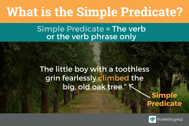 The definition of a simple predicate